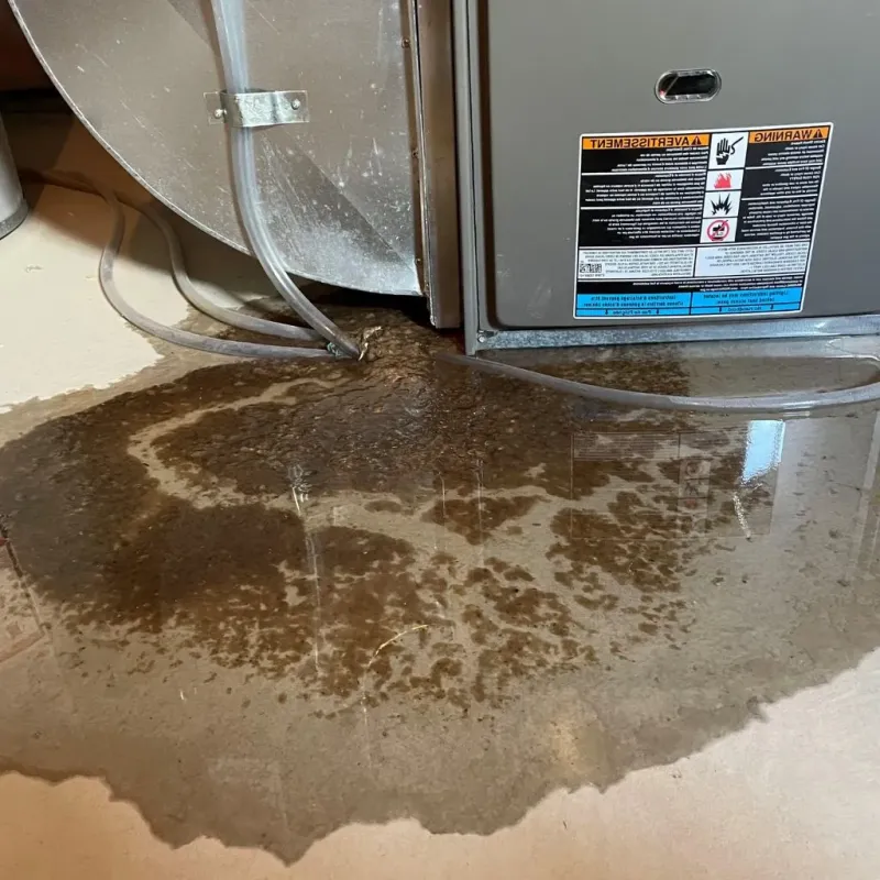 Pipe Burst and Leak Restoration in French Lick, IN